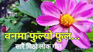 वनमा फुल्यो फुल Banma Fulyo Ful  New Lok Dohori Song 2075  2018 [upl. by Esetal555]