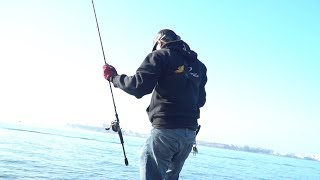 Topwater Fishing In San Diego Bay [upl. by Ellimac]