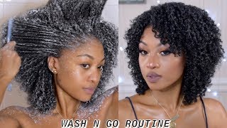 TYPE 4 HAIR UPDATED WASH N GO ROUTINE  CURL DEFINITION AT ITS BEST  DisisReyRey [upl. by Erek]