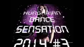 Hungarian Dance Sensation 2014 3 [upl. by Euqirne]