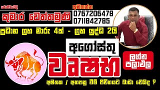 අගෝස්තු ලග්න පලාඵල  වෘෂභ ලග්නය  Wushaba Lagna Palapala 2024 lagnapalapala wushaba august [upl. by Heintz]