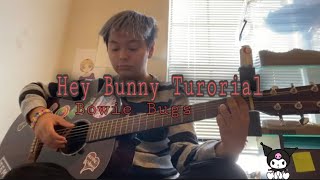 Hey bunny Bowie Bugs Tutorial [upl. by Ardnuaet]