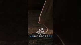 VBridsport Brand Reel [upl. by Kelda]