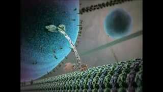 Kinesin protein walking on microtubule [upl. by Ennovy]