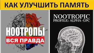 Самый сильный ноотроп AlphaGPC мышление память мотивация  AlphaGPC Scientific Review [upl. by Westfahl346]