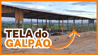 Tela IDEAL para o GALPÃO das GALINHAS [upl. by Atinej]