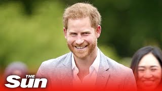 New dad Prince Harry congratulated as he arrives in Holland leaving Archie and Meghan Markle at home [upl. by Adlihtam593]