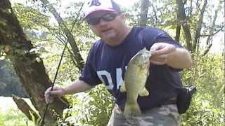 Catching Hellgrammites for bait to catch river smallmouth bass and other fish [upl. by Ekenna]