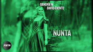 Sandra N feat David Ciente  Nunta Speedup Version  NIGHTCORE Remix [upl. by Graybill293]