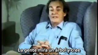 Richard Feynman  Fuego Fun to Imagine 2 subtitulado [upl. by Nekcerb]