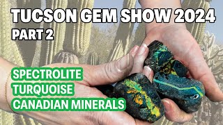 Tucson gem show part 2  Spectrolite Turquoise amp Canadian Minerals [upl. by Amati46]