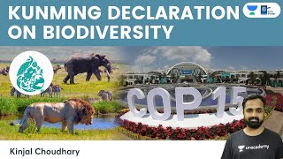 Kunming Declaration On Biodiversity  UN CBD  COP 15  30 By 30 Target  Kunming Biodiversity Fund [upl. by Eelesor]