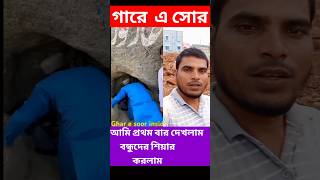 গাড়ে সোর আমি কখনও দেখিনি।youtubeshorts trender shortshorts viralvedio [upl. by Ilatan]