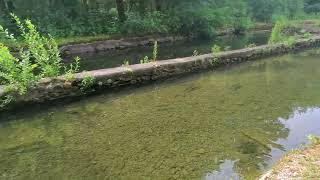 Wild Rose Fish Hatchery [upl. by Iclek]