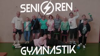 Seniorengruppenspiele mit Overball [upl. by Beaver299]