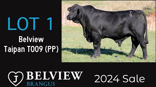 Lot 1 Belview Taipan T009 PP ET [upl. by Cram]