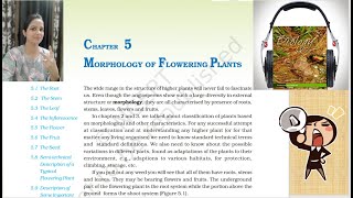 Morphology of Flowering Plants  Part 1  Fast Track Revision NEET 2023  Seep Pahuja [upl. by Bryon498]