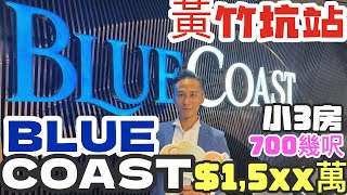 BLUE COAST 小3房示範單位黃竹坑站3期長江李嘉誠 [upl. by Renrag]