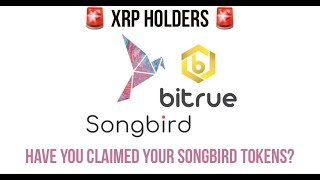 XRP holders now able to access free Songbird SGB tokens from Flare airdrop [upl. by Mufinella196]