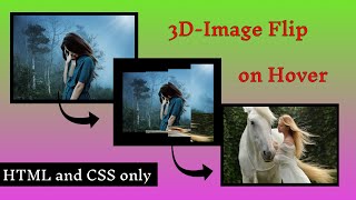 How to make 3D image flip on Hover with HTML and CSS  3D image flip with CSS onl [upl. by Aimekahs]