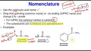 Amides Nomenclaure amp Properties [upl. by Ttirb]