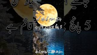 اسلام کی بنیاد کن 5 پانچ چیزوں پر قائم ہے ؟shorts youtubeshorts [upl. by Ahsak]