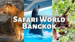 SAFARI WORLD BANGKOK [upl. by Nosiddam]