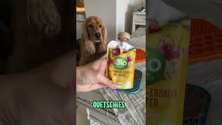 🐶 🐾🍽️ Verwöhne deine Fellnase mit gesunden Leckerlis 🐶🥄 🐕 [upl. by Beach]