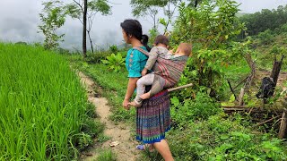 Growing Pickled Scallions  Weeding Upland Rice [upl. by Bloch]