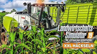 LS19 Platinum Das große MAISHÄCKSELN mit dem CLAAS DLC I Farming Simulator 19 Platinum Edition [upl. by Bilac]