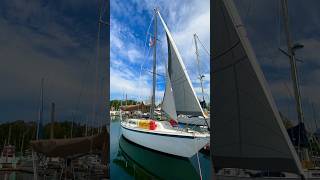 New staysail rigged up Thanks Scott sailing northsails boatlife ragdolls pennytheboatcat sail [upl. by Luigi667]