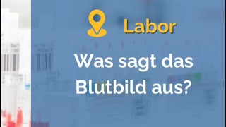 Was sagt das Blutbild aus [upl. by Hpsoj]