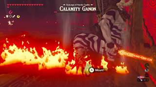 BotW Silver Coliseum Lynel Meets Calamity Ganon [upl. by Nosrettap]