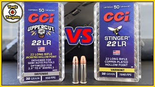 Float Like a Butterfly STING Like a BeeNEW CCI Uppercut VS Stinger 22lr AMMO Test [upl. by Nosremaj]