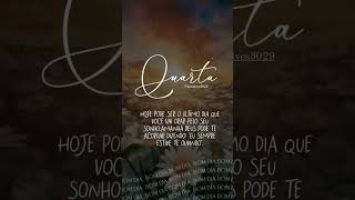 bomdia gratificante music frases mensagem grata gratidao [upl. by Eirod]