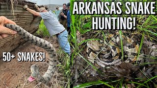 Arkansas Delta Snake Hunting Cottonmouths Rattlesnakes and Watersnakes in the Swamp [upl. by Adele833]