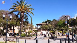 De VISITA en Tlajomulco de Zúñiga Jalisco México ¡¡FENOMENALLL [upl. by Norty865]