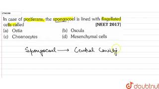 In case of poriferans the spongocoel is lined with flagellated cells called [upl. by Amaris]