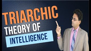 Triarchic Theory of Intelligence Made Easy  Education Talks [upl. by Hertz]