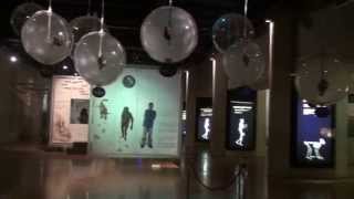 The Universe life and mans journey to humanity Maropeng exhibition highlights [upl. by Tommy842]