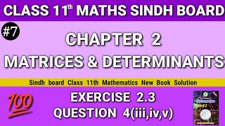 Class 11 maths sindh board New book Chapter 2 Exercise 23 Question 4iiiivv Matrices Determinan [upl. by Ilsa372]