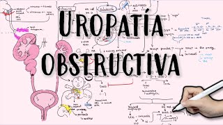 OBSTRUCCIÓN URINARIA  REFLUJO VESICUOURETERAL  Hidroureteronefrosis uropatia obstruccion rvu [upl. by Clerc]