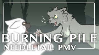 Burning Pile  Needletail PMV  Animatic [upl. by Weinstein87]