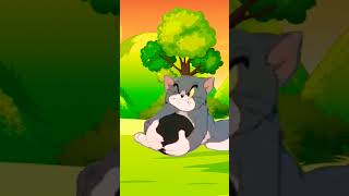 Tom And Jerry Cartoon Funny clip please subscribe my channel [upl. by Crofton]