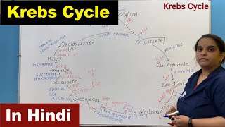 Krebs Cycle in Hindi  Citric Acid Cycle  TCA  Tricarboxylic Acid Cycle  Nursing Lecture [upl. by Asoj]