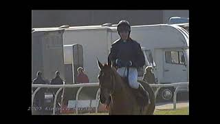 2003 Kingwell Hurdle Rhinestone Cowboy Inc Replay [upl. by Mcgee191]