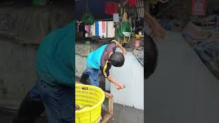 Large Blocks Of Ice for Vendors At Haikou Hainan China Seafood Market For Food Preservation [upl. by Wartow377]