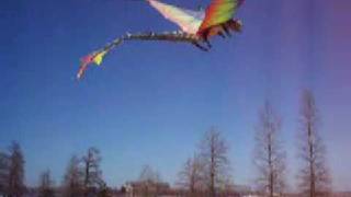 Go fly a kite 3D Dragon Kite Must SEE [upl. by Romo]