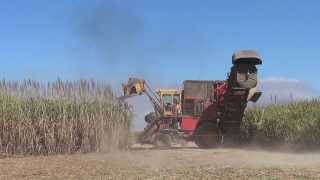 Sugar Cane Harvester in Australia [upl. by Elissa]