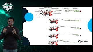 Clase 3 II Congreso Internacional en Línea de Cirugía Veterinaria  Quilotórax Cirugía Correctiva [upl. by Ardnac]